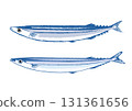 兩種秋刀魚插畫 131361656