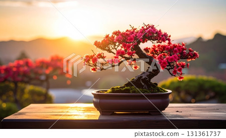 Red Bonsai Tree in Vase Red Bonsai Tree in Vase 131361737