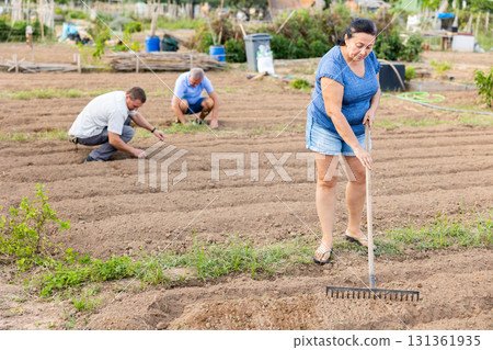 Female gardener working with rake in garden, preparing soil for seedlings transplanting Female gardener working with rake in garden, preparing soil for seedlings transplanting 131361935