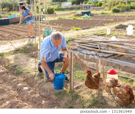 Man farmer taking chickens eggs at chicken-house 131361949