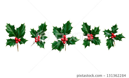 Bright green holly with red berries for cheer, created AI, PNG 131362284