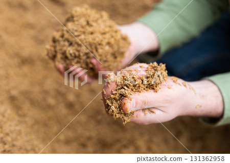 Hands of farmer holding handful of brewer's spent grain Hands of farmer holding handful of brewer's spent grain 131362958