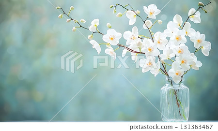Elegant white orchids in a glass vase on a soft blurred background for serene decoration 131363467