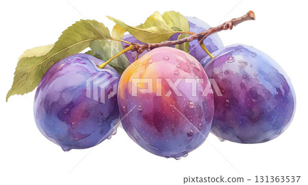 Watercolor illustration of fresh prunes on a branch on a transparent background (png) 131363537