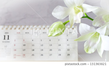 November calendar and white flowers November calendar and white flowers 131363821