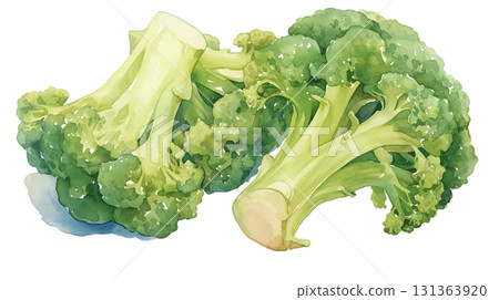 透明背景上的西蘭花水彩插圖（png） 131363920