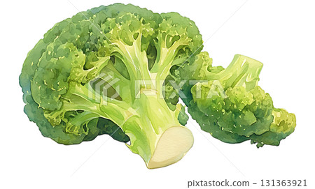 Broccoli watercolor illustration on transparent background (png) Broccoli watercolor illustration on transparent background (png) 131363921