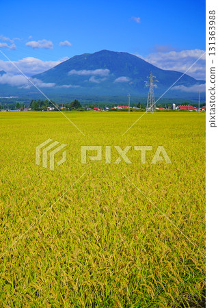 秋季田園風光(長野縣信濃町) 秋季田園風光(長野縣信濃町) 131363988