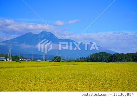 Autumn rural landscape (Shinano Town, Nagano Prefecture) Autumn rural landscape (Shinano Town, Nagano Prefecture) 131363994