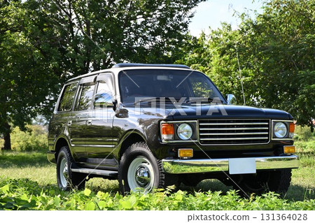 Land Cruiser 86 Renoka in the green 131364028