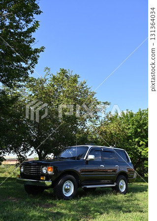 Land Cruiser 86 Renoka in the green Land Cruiser 86 Renoka in the green 131364034