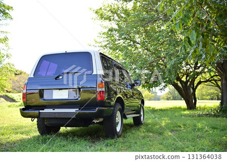 Land Cruiser 86 Renoka in the green 131364038