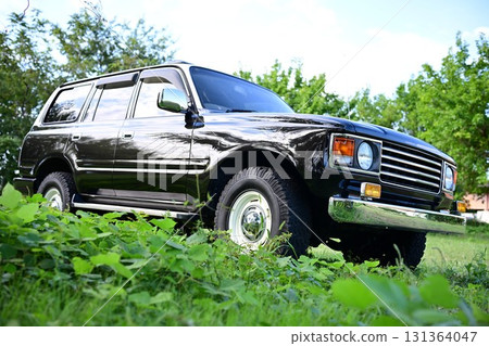 Land Cruiser 86 Renoka in the green Land Cruiser 86 Renoka in the green 131364047