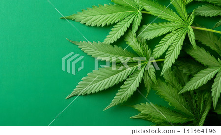 Close-up of fresh green cannabis leaves on a vibrant background. Close-up of fresh green cannabis leaves on a vibrant background. 131364196