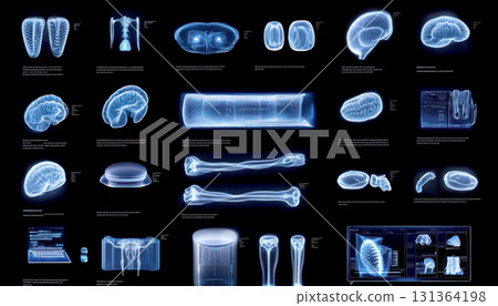 Collection of x-ray images showcasing various scientific specimens. Collection of x-ray images showcasing various scientific specimens. 131364198