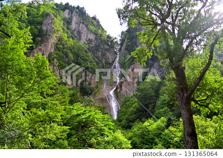 Sounkyo Ginkgo Waterfall 131365064