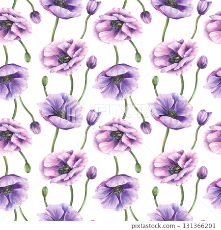 Watercolor Anemone flower with green stem and pink purple buds floral seamless pattern. Hand painted spring or summer fabric design, packaging, wallpaper on Isolated white background romantic clipart Watercolor Anemone flower with green stem and pink purple buds floral seamless pattern. Hand painted spring or summer fabric design, packaging, wallpaper on Isolated white background romantic clipart 131366201