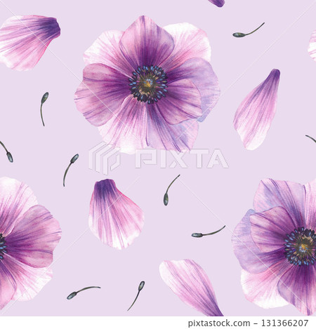 Watercolor purple flowers with petals with stamens from anemone buds seamless pattern. Hand drawn Pink gender windflowers, floral fabric, wallpaper on Isolated pink coloured background illustration 131366207