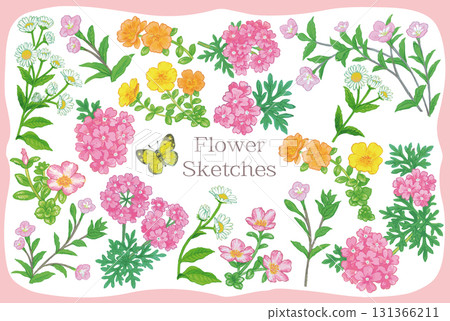 植物素描素材。野花。向量插圖素材。 植物素描素材。野花。向量插圖素材。 131366211