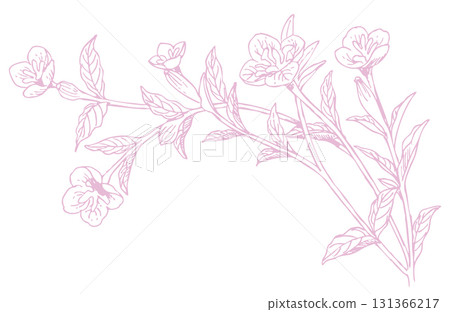 Plant sketch material. Wildflowers. Vector illustration material. 131366217