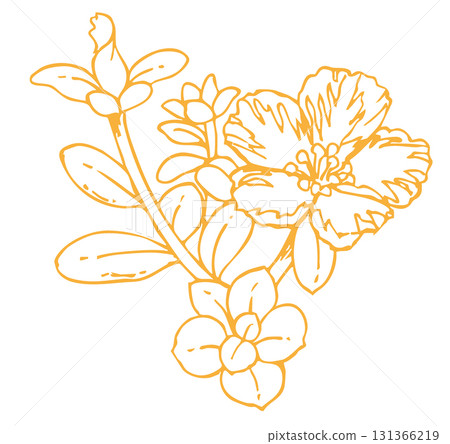 植物素描素材。野花。向量插圖素材。 植物素描素材。野花。向量插圖素材。 131366219