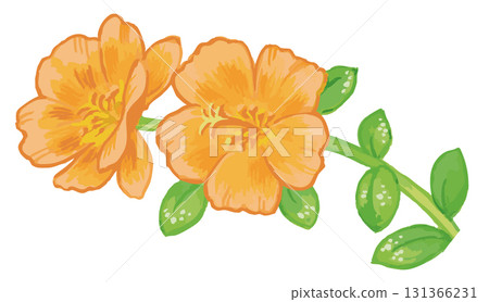 植物素描素材。野花。向量插圖素材。 植物素描素材。野花。向量插圖素材。 131366231