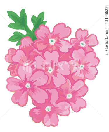 植物素描素材。野花。向量插圖素材。 植物素描素材。野花。向量插圖素材。 131366235