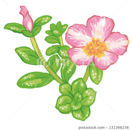 植物素描素材。野花。向量插圖素材。 植物素描素材。野花。向量插圖素材。 131366236