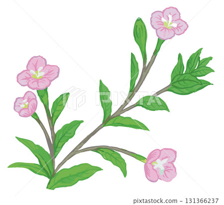 植物素描素材。野花。向量插圖素材。 植物素描素材。野花。向量插圖素材。 131366237