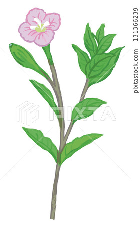 植物素描素材。野花。向量插圖素材。 植物素描素材。野花。向量插圖素材。 131366239