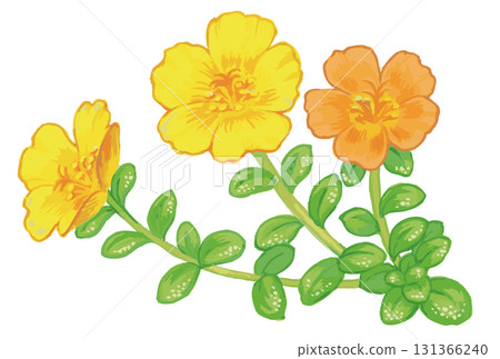 植物素描素材。野花。向量插圖素材。 植物素描素材。野花。向量插圖素材。 131366240