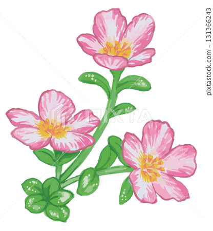 植物素描素材。野花。向量插圖素材。 植物素描素材。野花。向量插圖素材。 131366243