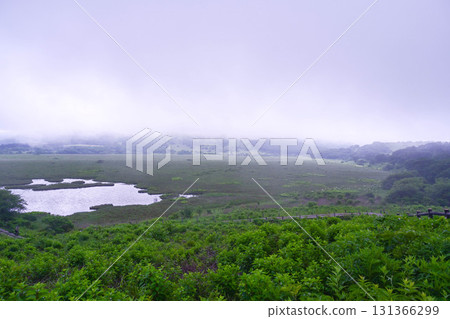 Mist flows through the Yashimagahara Wetlands of the Utsukushigahara Plateau Mist flows through the Yashimagahara Wetlands of the Utsukushigahara Plateau 131366299
