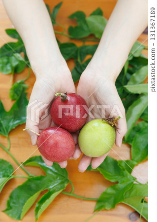 Hand-wrapped passion fruit 131367189