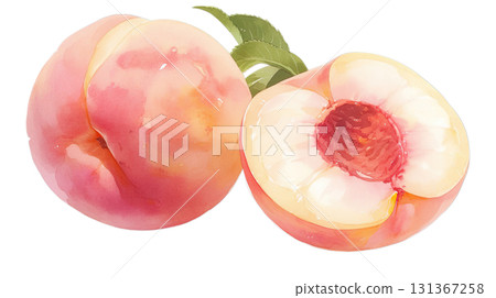 透明背景上的桃子水彩插圖（png） 131367258