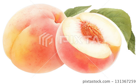透明背景上的桃子水彩插圖（png） 131367259