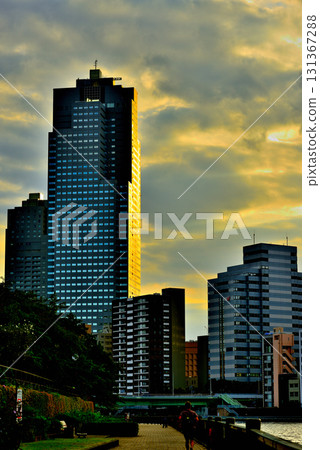 傍晚的聖路加花園,沐浴在橙色之中 傍晚的聖路加花園,沐浴在橙色之中 131367288