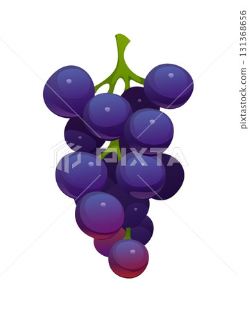 Cartoon tropical grape ripe raw fruit. Isolated vector bunch of dark purple grapes with a green stem and glossy berries. Fresh garden plant, healthy food, summer dessert, crop natural organic produce 131368656