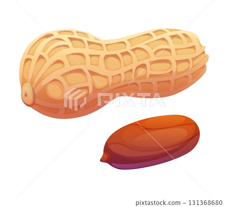 Cartoon raw ripe peanuts, whole and shelled nuts showing textured shells and brown kernel. Isolated vector nutritional crunchy snack, baking ingredient, healthy natural seed plant, peanut pod 131368680