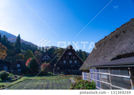 [World Heritage Site] Shirakawa-go in full autumn color [Gifu Prefecture] 131369289