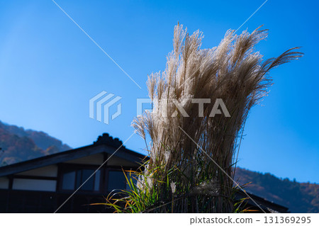 [World Heritage Site] Shirakawa-go in full autumn color [Gifu Prefecture] 131369295