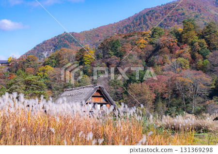 [World Heritage Site] Shirakawa-go in full autumn color [Gifu Prefecture] 131369298
