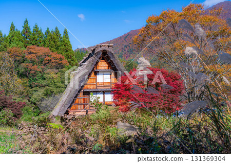 [World Heritage Site] Shirakawa-go in full autumn color [Gifu Prefecture] 131369304