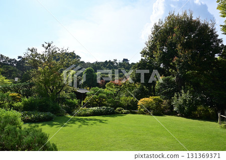 日本庭園“有樂園” 日本庭園“有樂園” 131369371