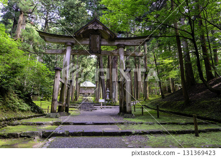 Nino Torii 131369423