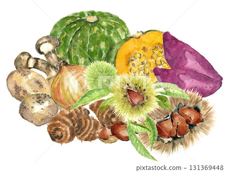 在白色背景上用水彩 [手繪] 繪製的各種蔬菜，背景透明 131369448
