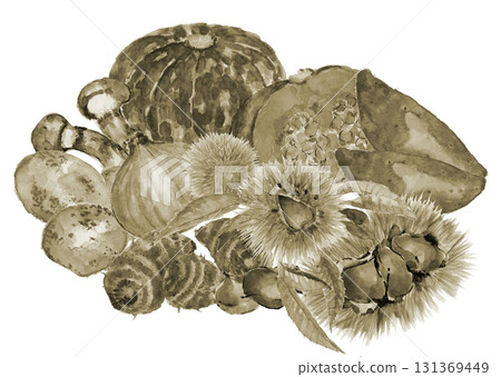 水彩畫的漏勺裡盛著各種深褐色蔬菜[手繪]白色背景透明背景 131369449