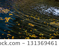 Fallen autumn leaves on the river 131369461