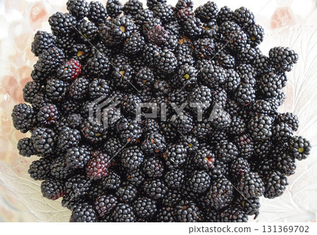 Plate with berries black blackberries 131369702