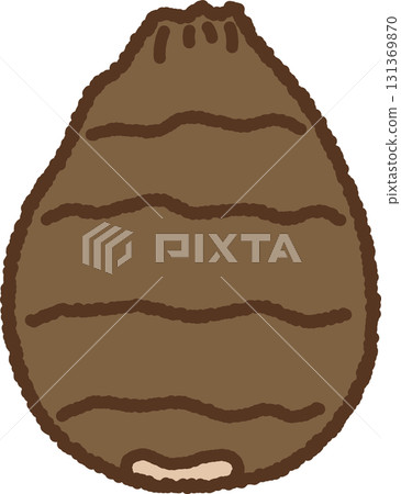 手繪單圖示插圖蔬菜芋頭 131369870